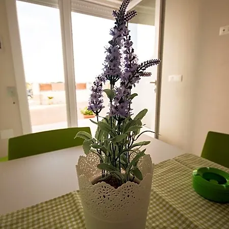 Bed & Breakfast Edone 3*